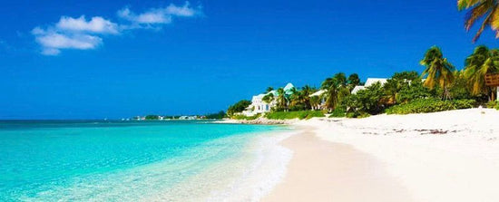 Negril Tour (Riks Cafe, 7 Mile Beach, Party Boat- All day)