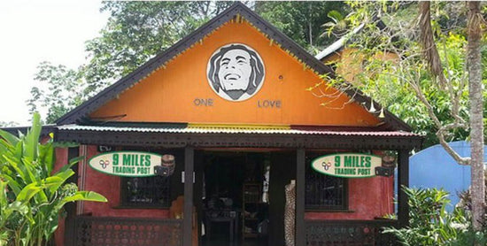 Bob Marley Tour (3-4 HOURS)