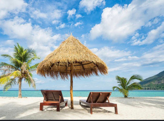 Private Beach Tour (2-3 HOURS)